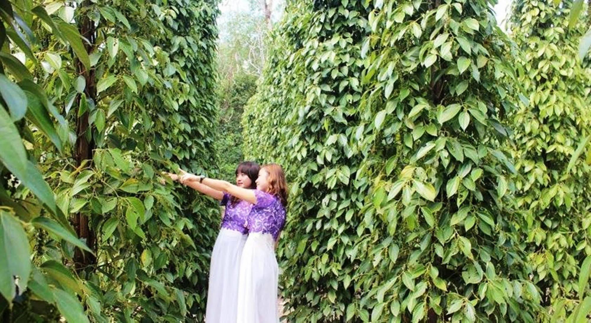 Pepper Farm Phu Quoc Hotel Buitenkant foto