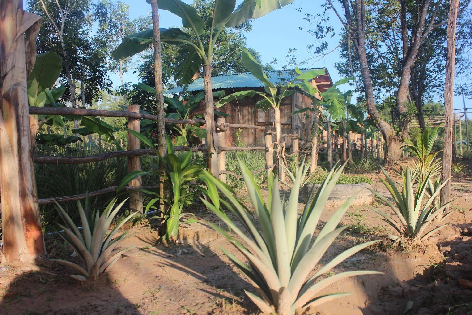 Pepper Farm Phu Quoc Hotel Buitenkant foto