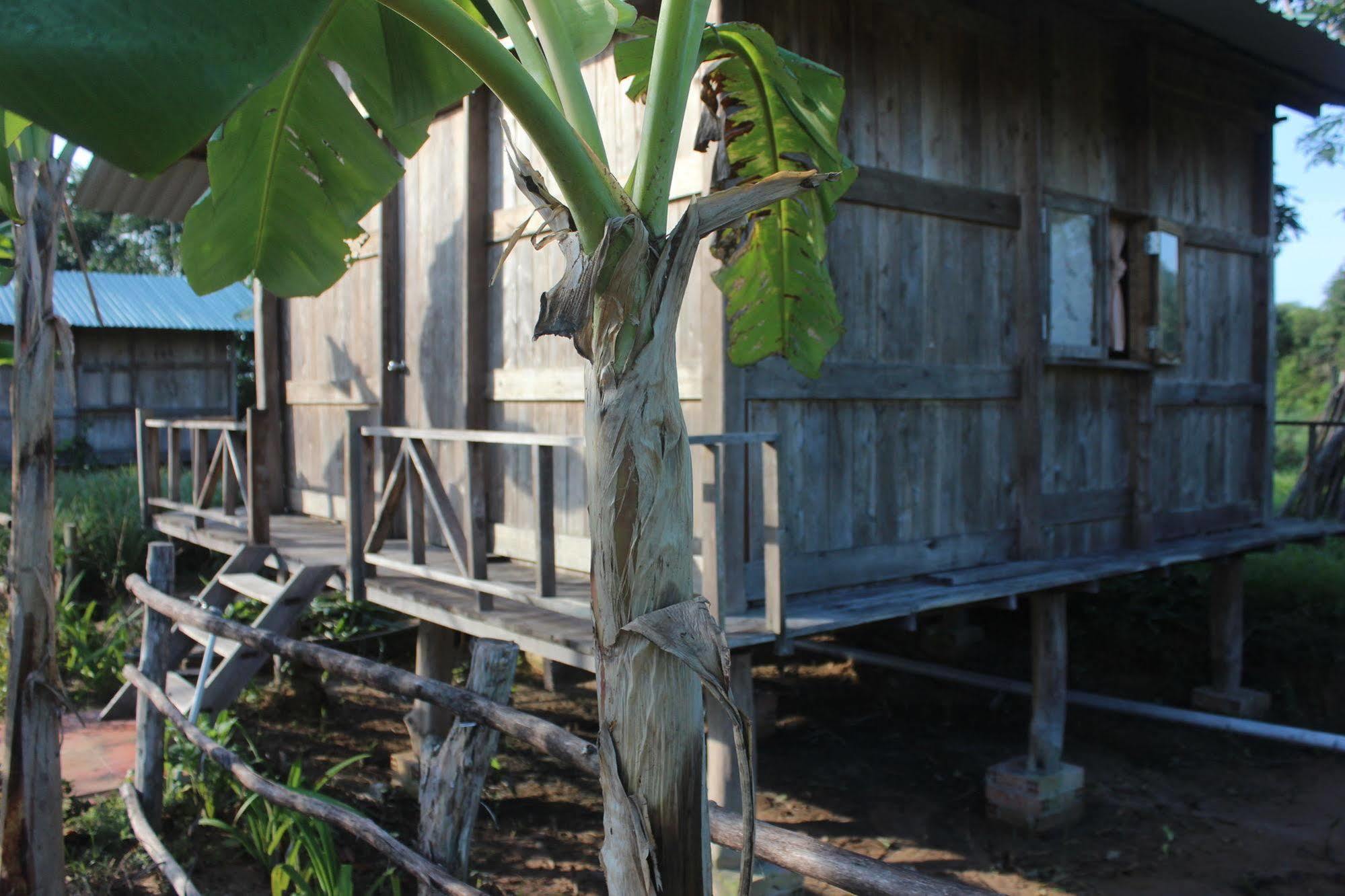Pepper Farm Phu Quoc Hotel Buitenkant foto