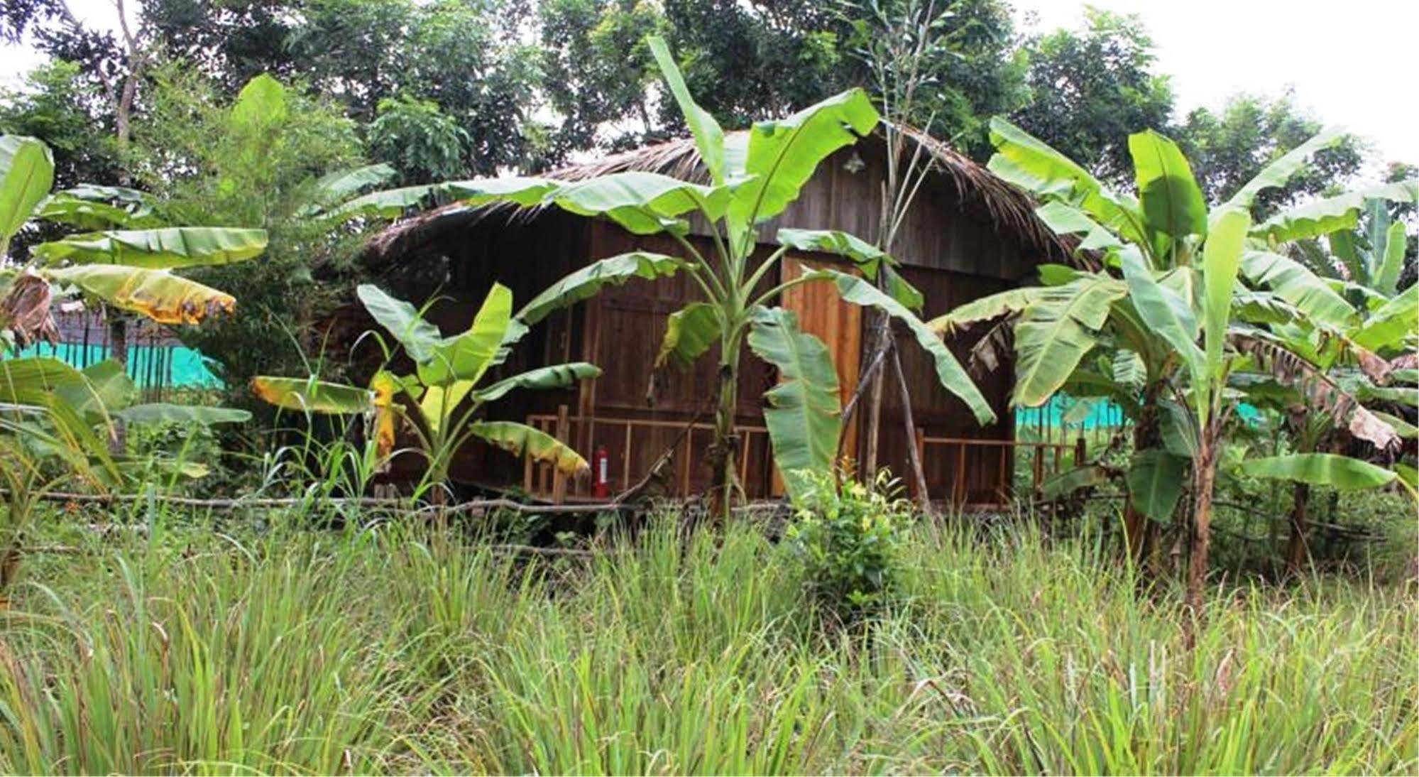 Pepper Farm Phu Quoc Hotel Buitenkant foto