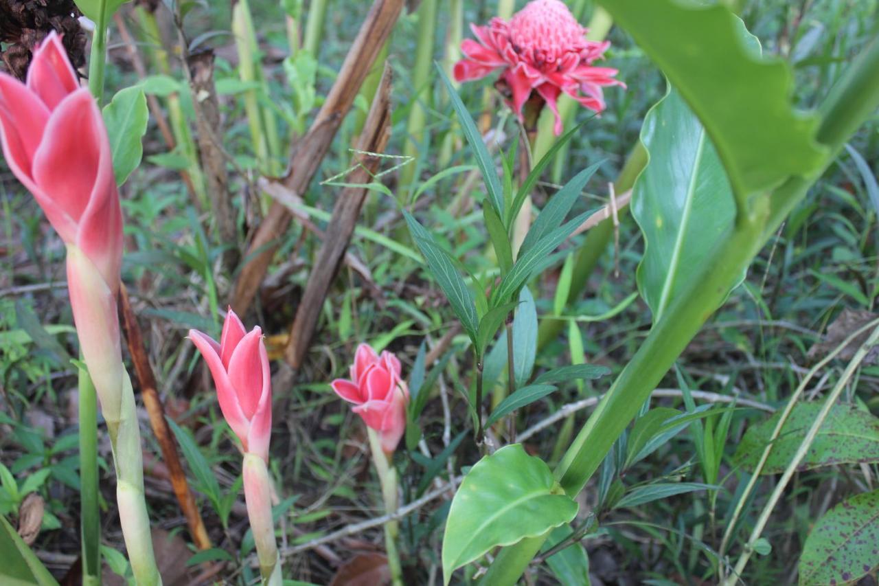 Pepper Farm Phu Quoc Hotel Buitenkant foto